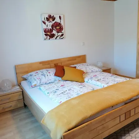 Lanzl * 甘利特茨